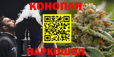 дживик Новозыбков