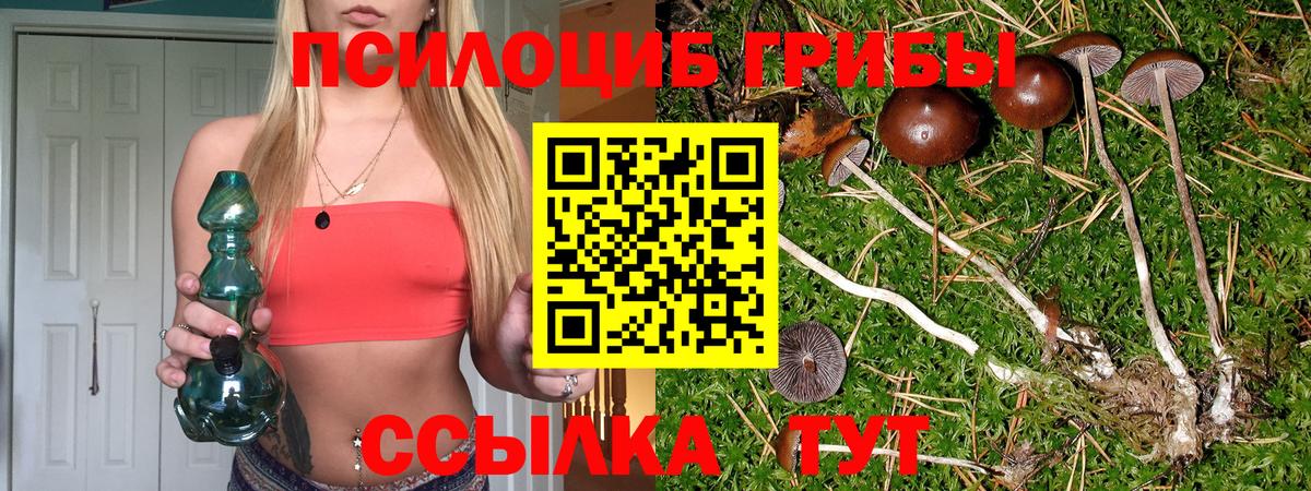Курган  Галлюциногенные грибы Cubensis  Галлюциногенные грибы ЛСД  Вход с VPN 