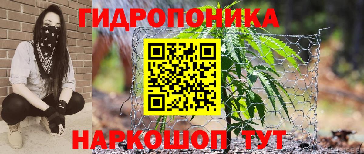 Бошки Шишки план  Канабис OG Kush  Каннабис VHQ  Вход с VPN  Курган 